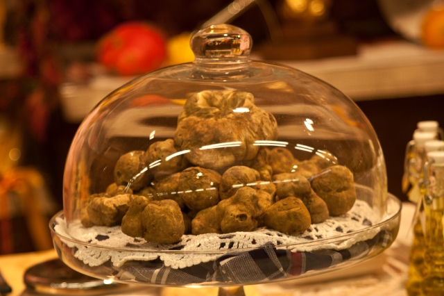 Precious white truffles (Photo (c) Stillman Rogers Photography)