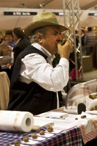 A trifolao sniffs a white truffle - Photo (c) Stillman Rogers Photography